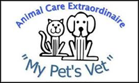 animal_ce